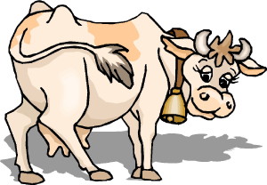 cow