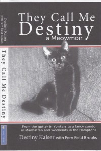 Destiny cover