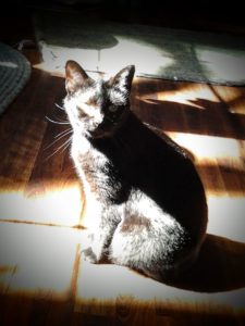 Hermione in the sun