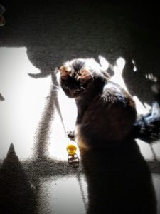 lily sitting in sun