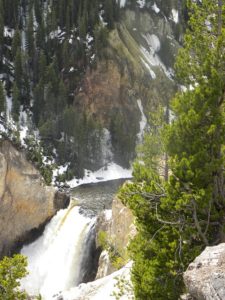 yellowstone pic