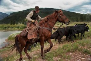 cowboy-on-horseback